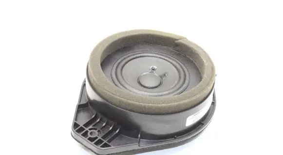 Opel Ampera Rear door speaker 20760439