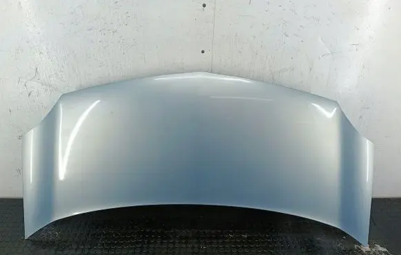 Renault Kangoo I Engine bonnet/hood TERNP