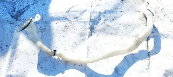 BMW 5 GT F07 Windshield washer fluid reservoir/tank 13264011