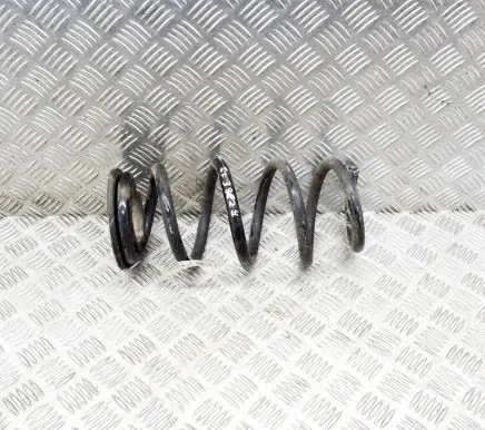 Tesla Model 3 Rear coil spring 104447201E