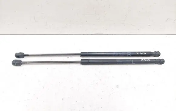 Tailgate/trunk strut/damper