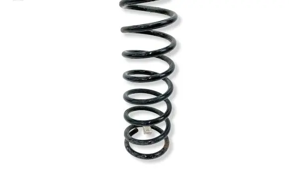 Dodge RAM 1500 DS Rear coil spring 68307040AA P68307040AA