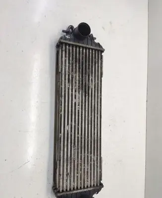 Renault Trafic II (X83) Intercooler radiator 7700312903 8689260 91166035