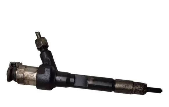 Citroen Berlingo Fuel injector R2AA13H50