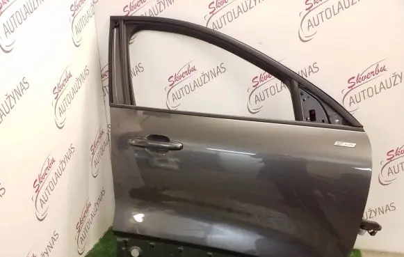 Ford Kuga III Front door V4BS20220AK