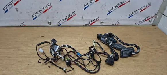 BMW X3 F25 Front door wiring loom 9243655