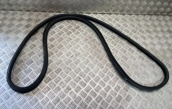 BMW 3 GT F34 Front door rubber seal 7323081
