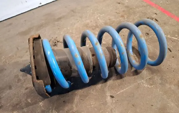 Rear coil spring