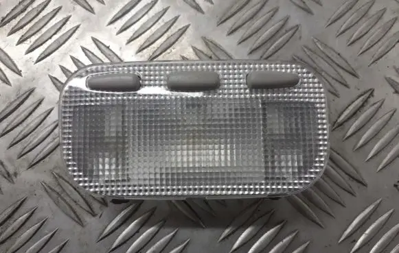 Peugeot 1007 Headlining lighting console trim BRAK