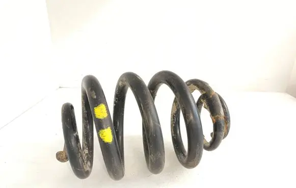 Rear coil spring