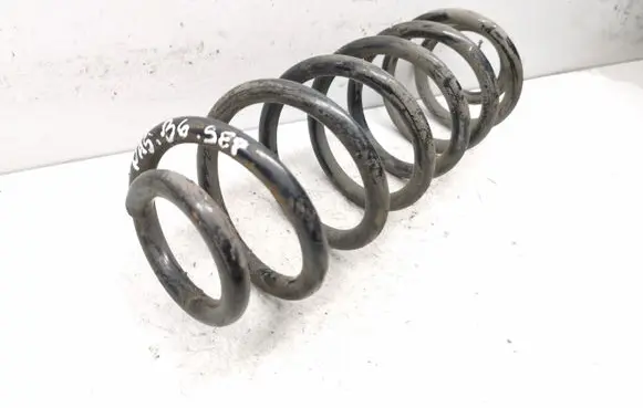 Volkswagen PASSAT B6 Rear coil spring