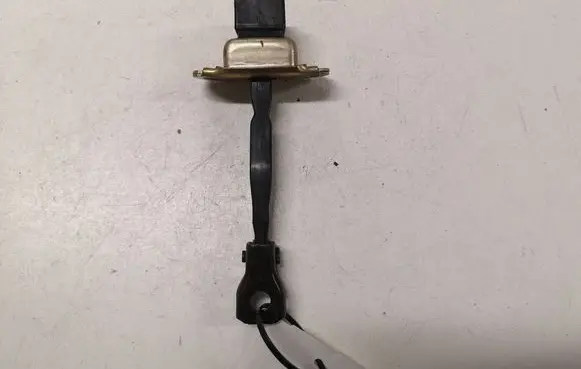 Mitsubishi Grandis Front door check strap stopper