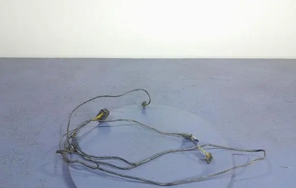 Other wiring loom