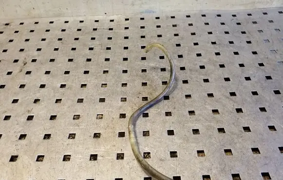 Opel Frontera B Windshield washer fluid hose 