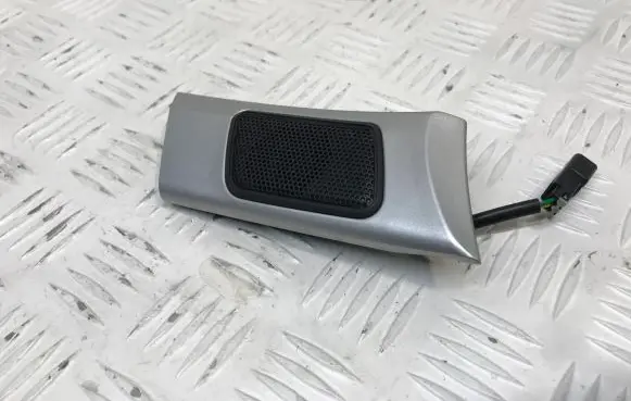 Chevrolet Captiva Front door high frequency speaker 20804209