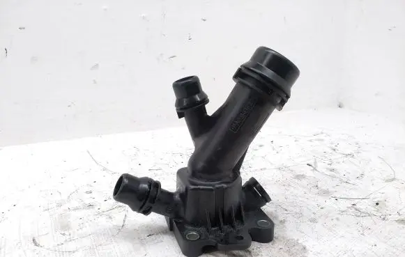 Thermostat/thermostat housing