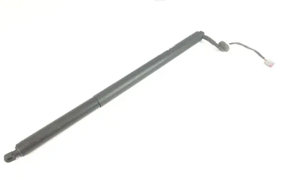 Tailgate strut