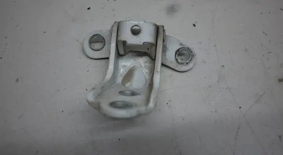 Rear door lower hinge