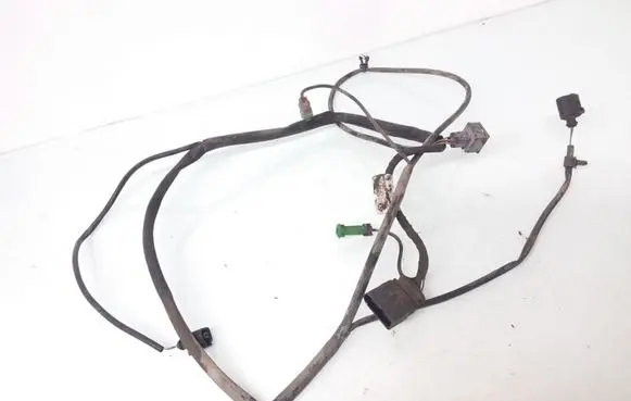 Other wiring loom