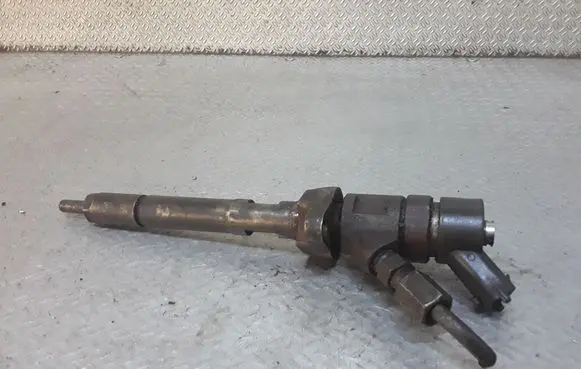 Citroen C5 Fuel injector 0445110259