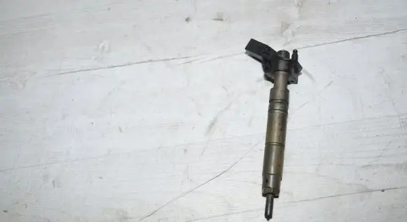Mercedes-Benz R W251 Fuel injector 6420700587