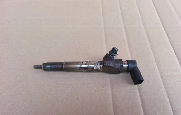 Nissan Juke I F15 Fuel injector H8201100113 166006212R