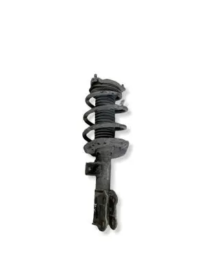 KIA Optima Front shock absorber with coil spring 54650D4900