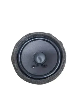 Mercedes-Benz EQE v295 Rear door speaker A2238201300