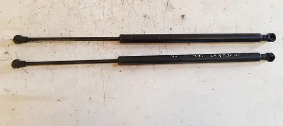 Peugeot 607 Tailgate/trunk strut/damper 9648344080