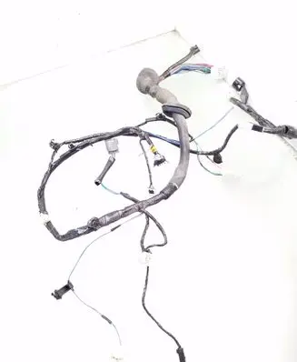 Front door wiring loom
