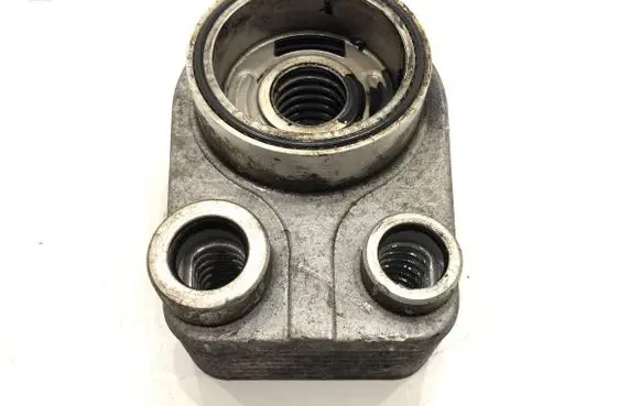 Nissan Juke I F15 Engine oil radiator 213059324R