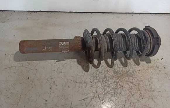 Volkswagen PASSAT B6 Front shock absorber with coil spring