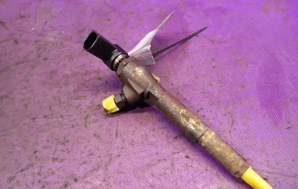 Renault Kangoo II Fuel injector H8200294788