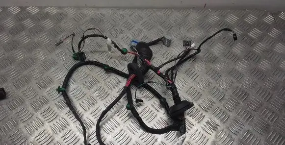 Tesla Model S Rear door wiring loom 100442600R