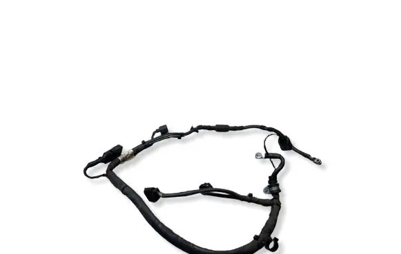Volkswagen PASSAT B7 Wires (generator/alternator) 3AA971230S