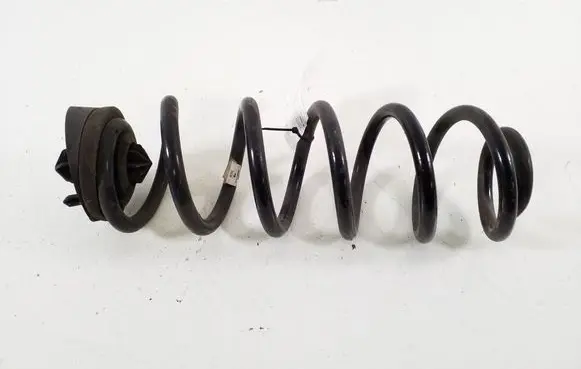 Rear coil spring