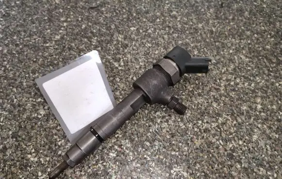 Fiat Punto (188) Fuel injector 0445110019