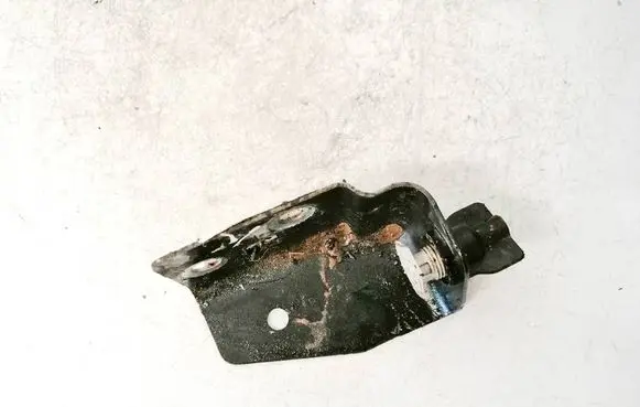 Opel Insignia A Rear door lower hinge 0801