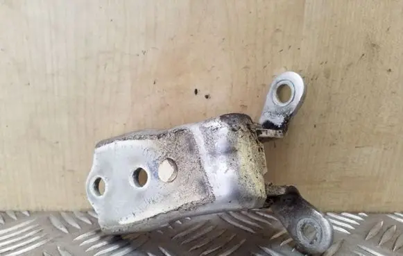 Opel Antara Front door lower hinge 