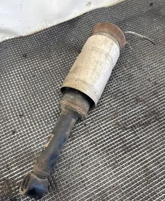 Land Rover Range Rover Sport L320 Air suspension front shock absorber 22249855