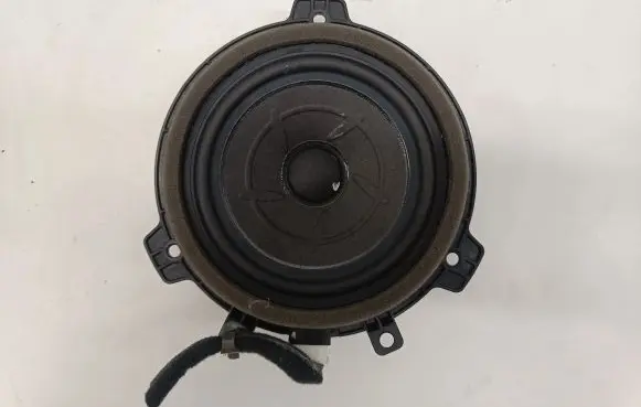 Rear door speaker
