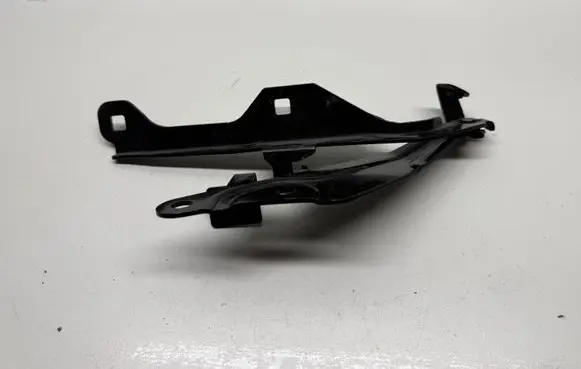 Ford Mustang VI Engine bonnet/hood hinges FR3Z16796A F0123617