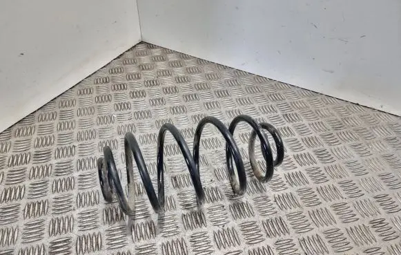 Opel Astra H Rear coil spring 6003114320