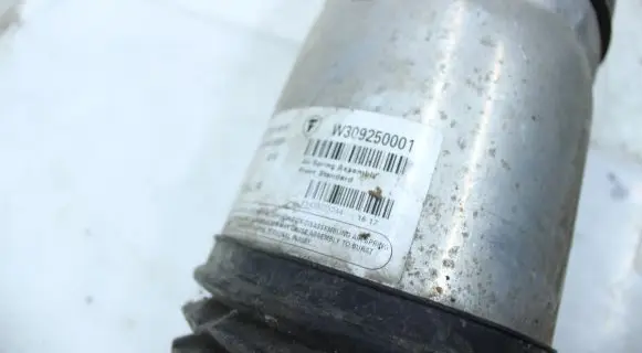 Tesla Model X Front shock absorber/damper W309250001