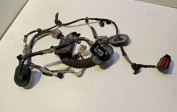 Front door wiring loom
