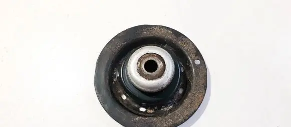 Coil spring mount