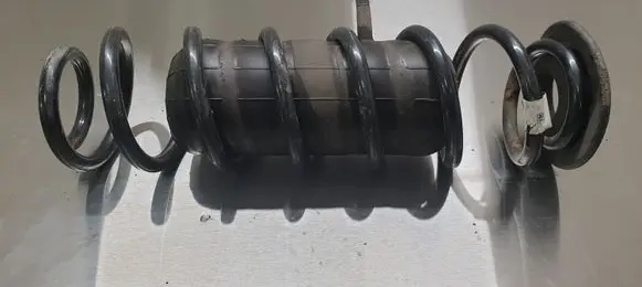 Rear coil spring