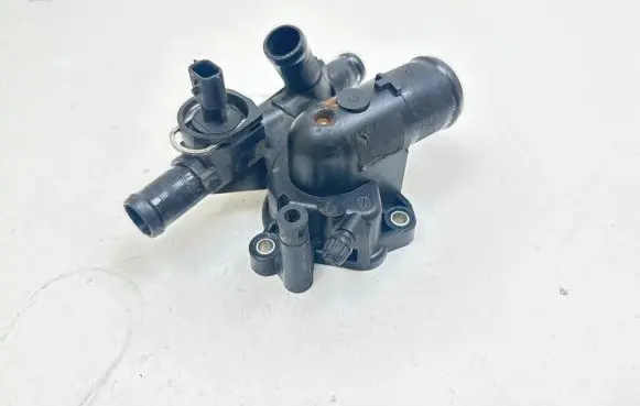 Thermostat/thermostat housing