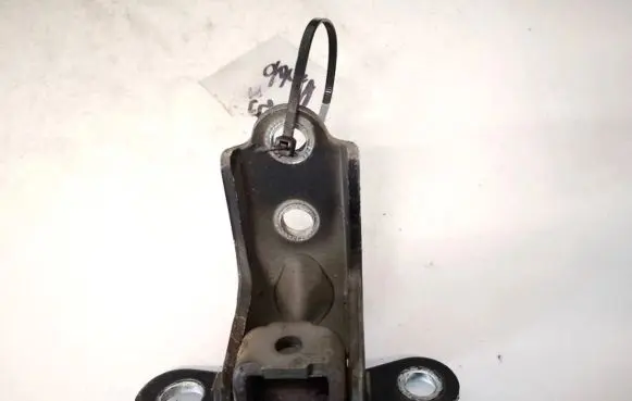KIA Ceed Rear door lower hinge