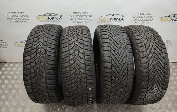 Skoda Octavia Mk3 (5E) R16 winter tire 20555R16